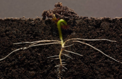 土壤水分測(cè)定站要如何維護(hù)？